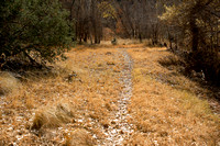 Golden trail
