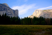Meadow