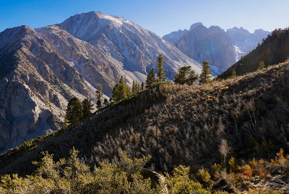 Bakers Creek Trail, Wide
